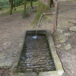 Lire la suite à propos de l’article Les origines de la source de Montégoutte