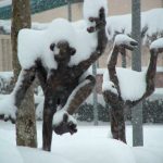 Lire la suite à propos de l’article Les P’tits Gras